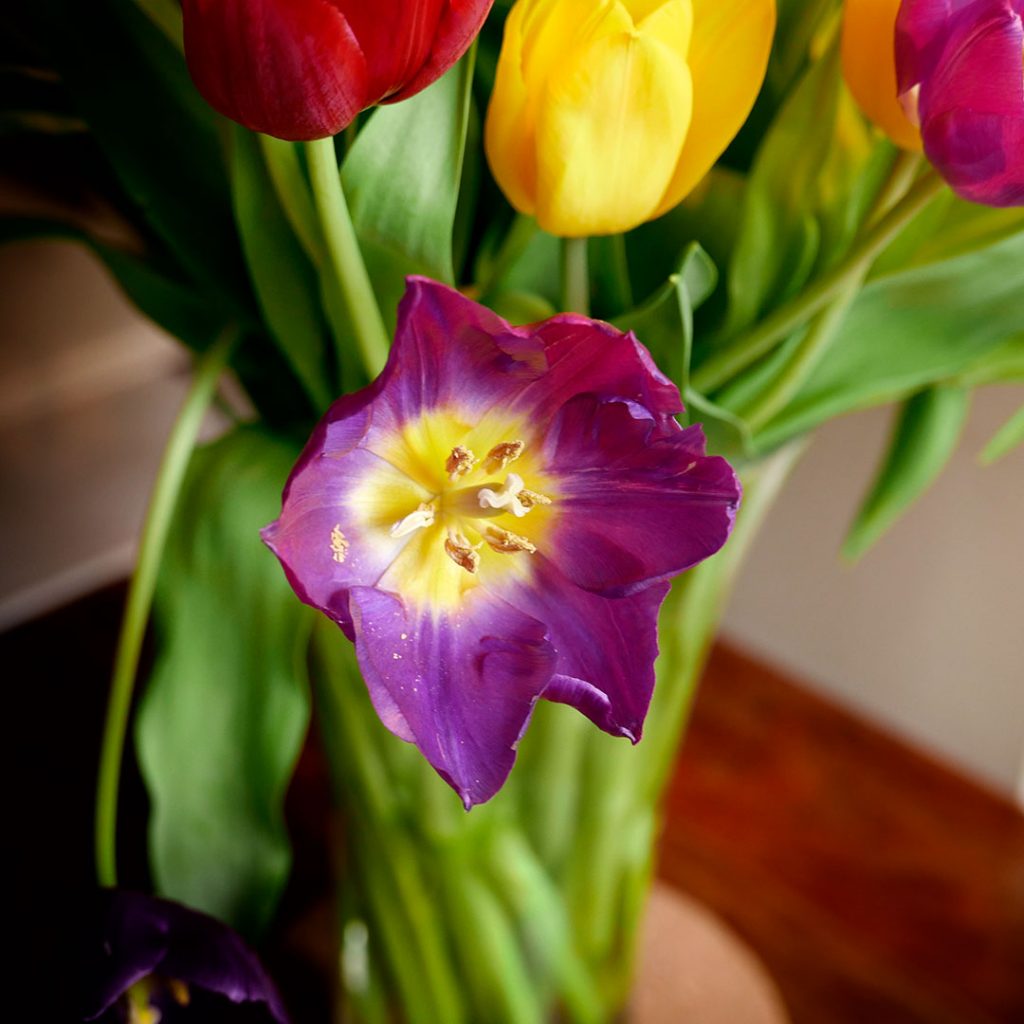 SPRING, OPTIMISM AND PLANNING FOR THE FUTURE