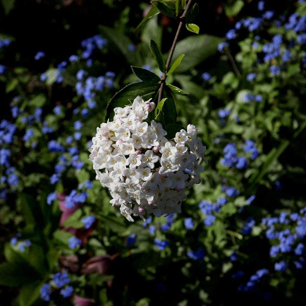 SPRING, OPTIMISM AND PLANNING FOR THE FUTURE