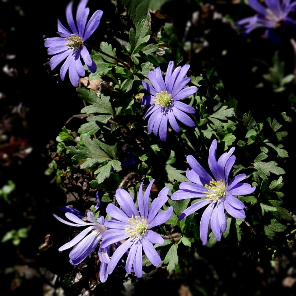 SPRING, OPTIMISM AND PLANNING FOR THE FUTURE
