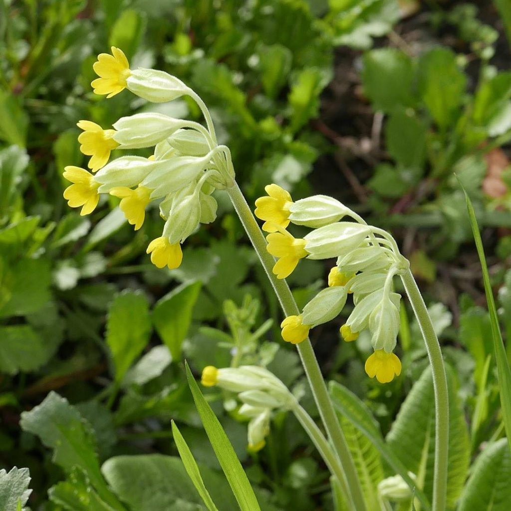 SPRING, OPTIMISM AND PLANNING FOR THE FUTURE