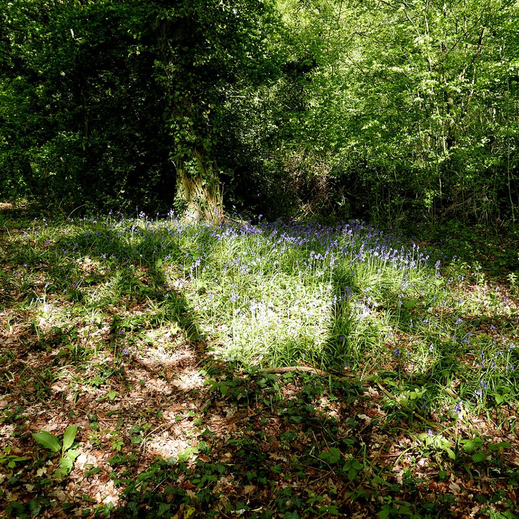 SPRING, OPTIMISM AND PLANNING FOR THE FUTURE