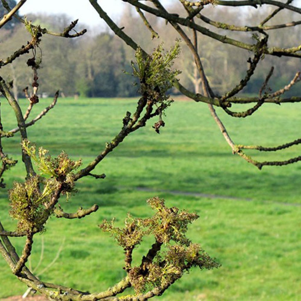 SPRING, OPTIMISM AND PLANNING FOR THE FUTURE