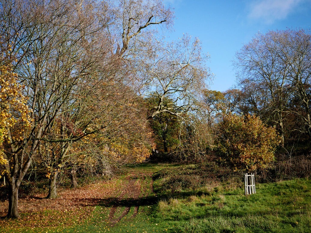THE DYSART PETERSHAM – LOCKDOWN AND BEYOND