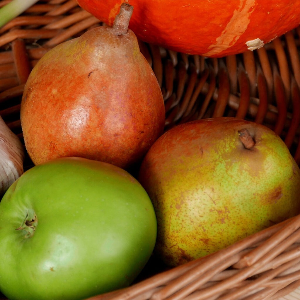 Flavours of Autumn in our menus