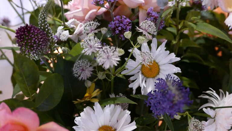 THE DYSART PETERSHAM GARDEN MENU