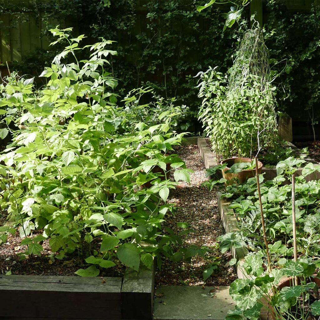 The Dysart Petersham Garden Menu