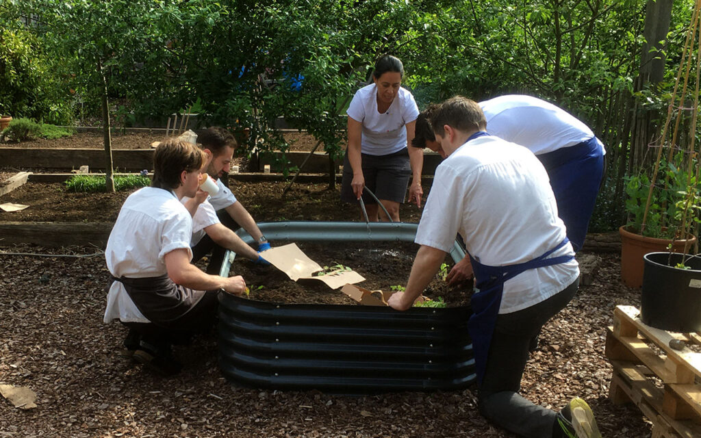 OUR KITCHEN GARDEN - GREEN THOUGHTS IN A GREEN SHADE