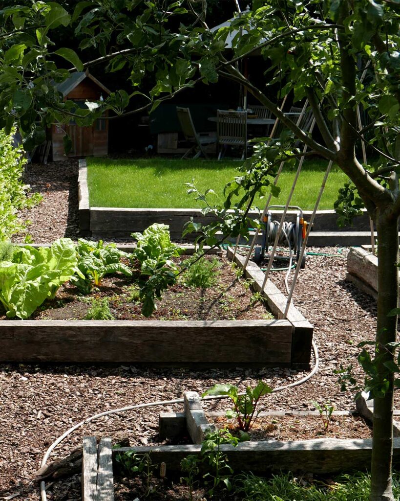 OUR KITCHEN GARDEN - GREEN THOUGHTS IN A GREEN SHADE