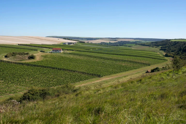 Rathfinny Wine Estate Wine Dinner